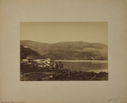 UNKNOWN PHOTOGRAPHER A view over Pelichet Bay, Dunedin