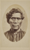 TANNER BROS. LTD A Māori Warrior, with moko