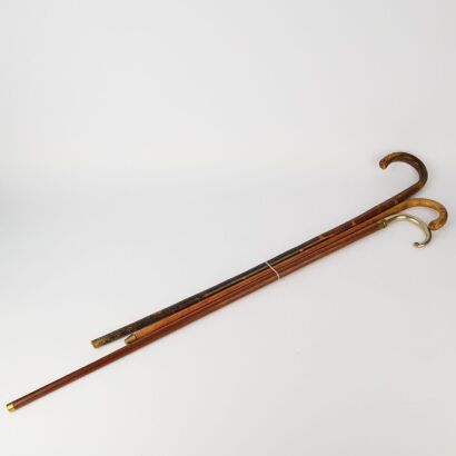 Two Walking Sticks