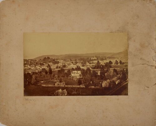 UNKNOWN PHOTOGRAPHER Nelson, N.Z.