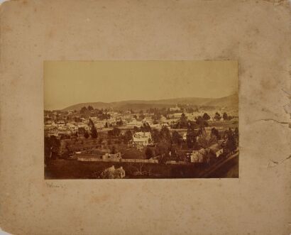 UNKNOWN PHOTOGRAPHER Nelson, N.Z.