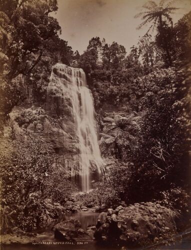 UNKNOWN PHOTOGRAPHER Waitakere Upper Fall. 330 foot