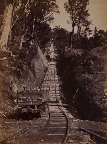 JOSIAH MARTIN A section of the Piako County Tramway in the Waiorongomai Valley near Te Aroha.