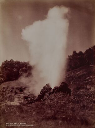 CHARLES SPENCER Crow's Nest, Taupo
