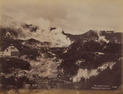 JOSIAH MARTIN Puarenga Creek, Whakarewarewa