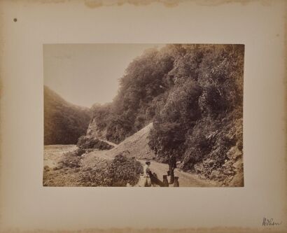 JOSIAH MARTIN Otira Gorge