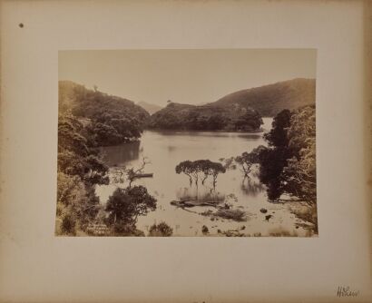 JOSIAH MARTIN Wairahi Pah. Port Fitzroy