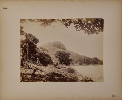 JOSIAH MARTIN St Peters, Whangaroa