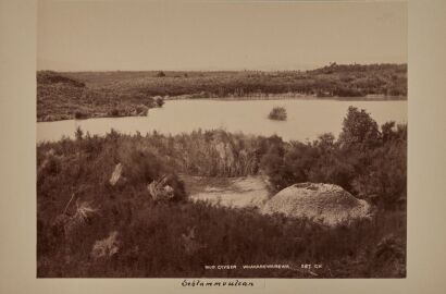 GEORGE D. VALENTINE Mud Geyser - Whakarewarewa