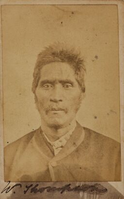 HARTLEY WEBSTER Wiremu Tamihana (William Thompson)