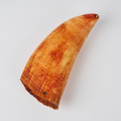 A Tabua, Fiji