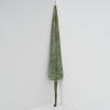 A Bronze Age Spear, Western Persia