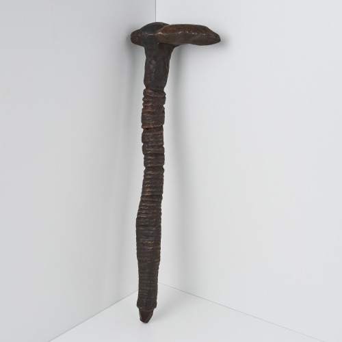 A Fighting Pick, Northern Territory, Australia