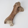 A Moa Bone, Aotearoa