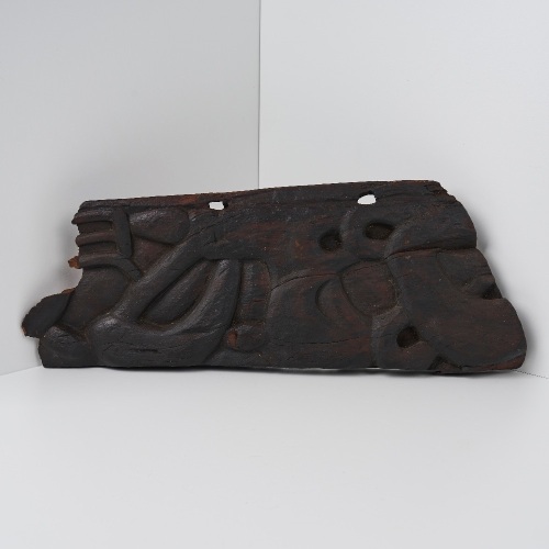 A Segment of Waka, Aotearoa