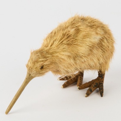 A Kiwi Figure