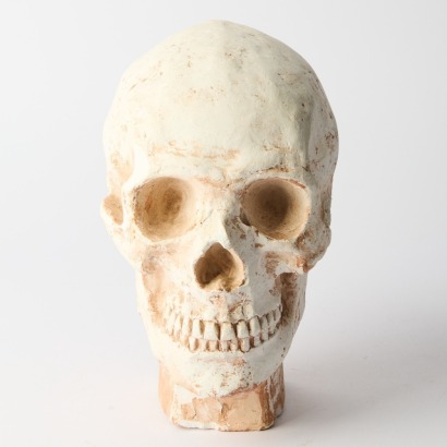 A Human Skull Casting