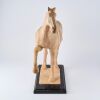A Large Tang Dynasty Horse, China - 3