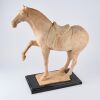 A Large Tang Dynasty Horse, China - 5
