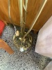 A Brass Tulip Lead Light Standard Lamp - 7