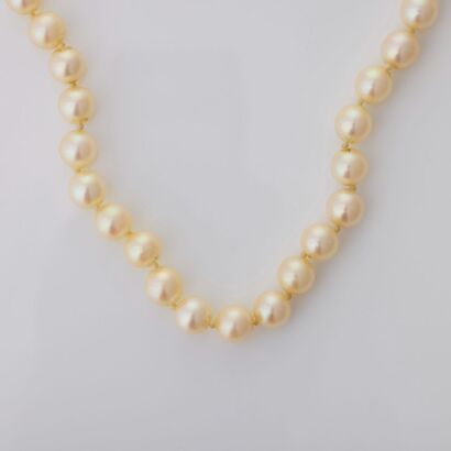 47cm, Akoya Type Cultured Pearl Necklace
