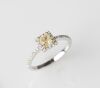 18ct White Gold Diamond Halo Ring