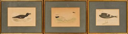 Three Alexander Francis Lydon Antique Prints