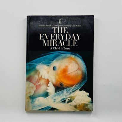 The Everyday Miracle: a Child Is Born