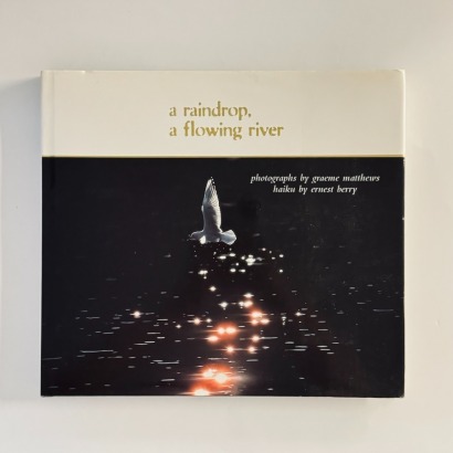 A Raindrop , a Flowing River (1998)