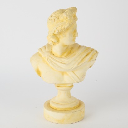 A Plaster Reproduction Apollo Belvedere Bust