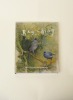 HUNTER HOLDINGS LTD. New Zealand Book Set - 2
