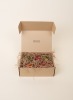 POPPY & SAGE Heriloom Tomato Candle Set - 2