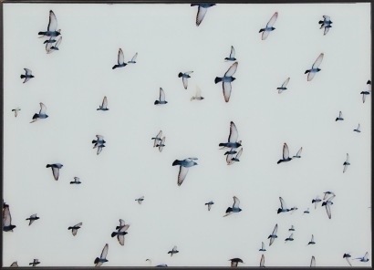 A Boconcept Framed Birds Glass Artpiece