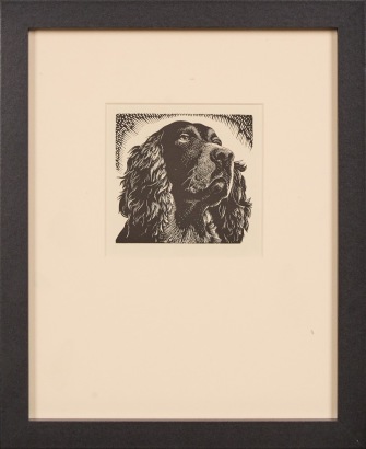 E. MERVYN TAYLOR Spaniel