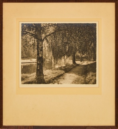 A Period George Chance Avon River, Christchurch Photograph