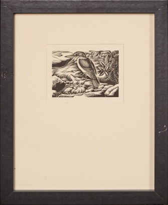 E. MERVYN TAYLOR Kingfisher