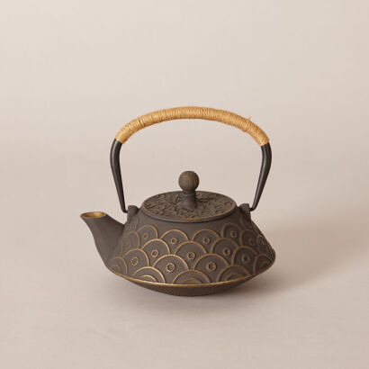 A Japanese Iron Pot