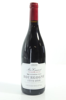 (1) 2020 Meo-Camuzet Bourgogne Cote d'Or Hemisphere Sud, Burgundy