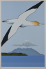 DON BINNEY Manunui, Hauturu II