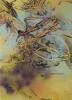 JUDY MILLAR untitled