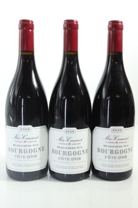 (3) 2020 Meo-Camuzet Bourgogne Cote d'Or Hemisphere Sud, Burgundy