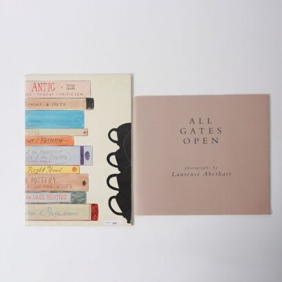 Two Publications on New Zealand Photography and Art &mdash; Laurence Aberhart and Antic 8