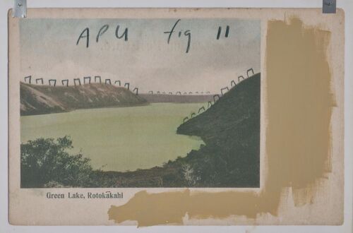 ET AL. untitled (APU fig 11) 'Green Lake, Rotokākahi'