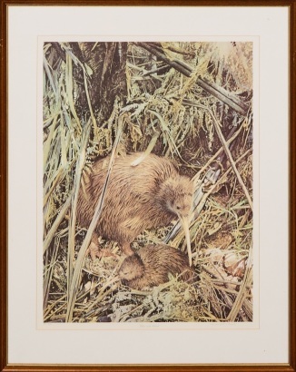 RAYMOND CHING Kiwi and Chick