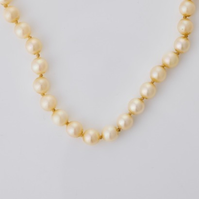 Mikimoto, Vintage, 42cm Cultured Pearl Necklace, circa 1983 with Box / Paperwork