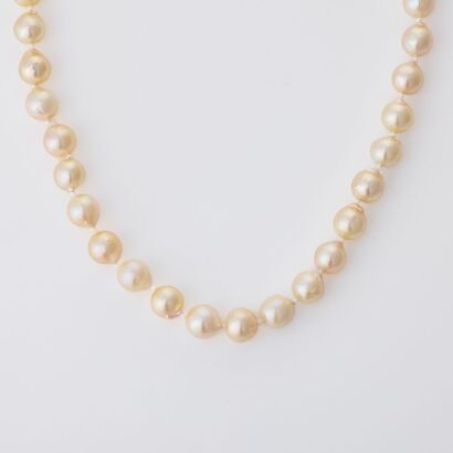 46cm, Graduated Akoya Cultured Pearl Necklace