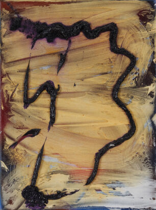 JOHL DWYER untitled