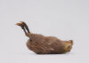 JOHN PUSATERI Specimen #4
