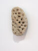 JOSEPHINE SCHLATTER Pumice Rock