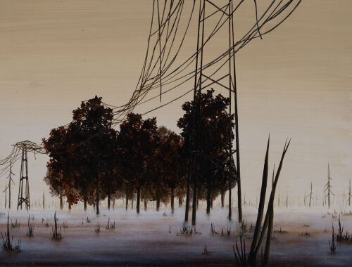 MARTIN BASHER untitled
